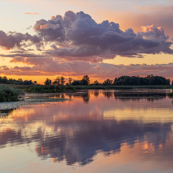 Sonnenuntergang über der Oder